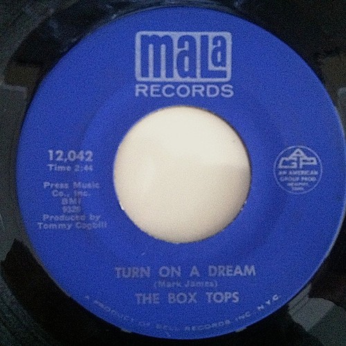 Box tops turn a dream - box, on
